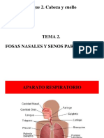 Tema 02 PDF