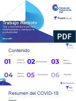 Presentación Teletrabajo Completa