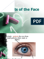 Parts of the Face.pptx