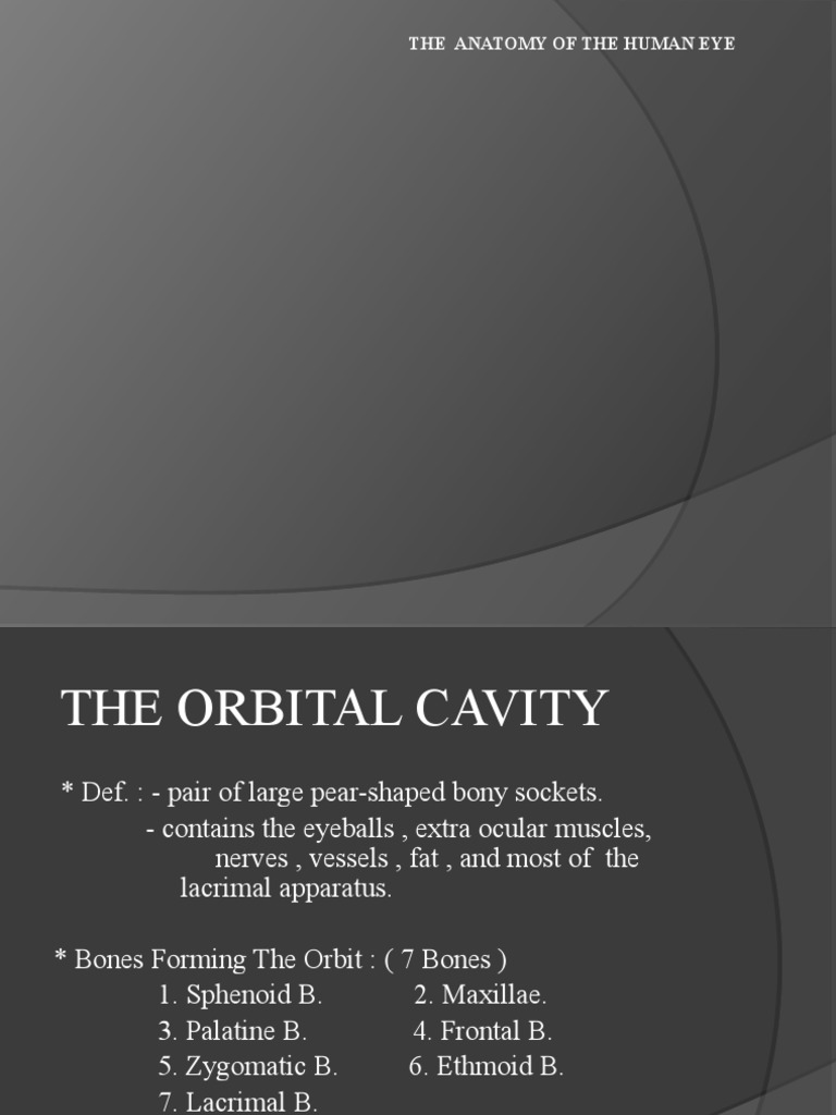 The Anatomy of The Human Eye | PDF | Human Head And Neck | Sensory Organs