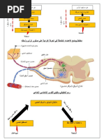 المورد الثاني الحركة الارادية واللاارادية