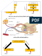 رسومات للحركة الارادية واللاإ