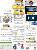 - 2Gملخصات المقطع التعلمي التنسيق العصبي PDF