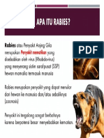 Apa Itu Rabies