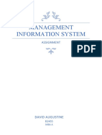 Management Information System: Assignment