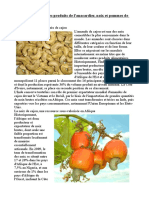 La-transformation-des-produits-de-lanacardier-noix-et-pommes-de-cajou-en-Afrique.pdf