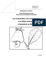 anacarde-benin-gtz.pdf