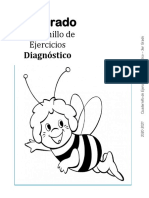 3er Grado - Cuadernillo de Ejercicios (Diagnóstico) PDF