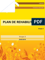 Plan de rehabilitación.pdf