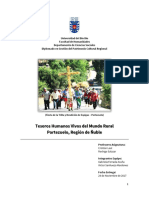 Informe THV Portezuelo - GFerrada - VSanhueza PDF