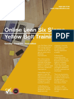 Online Lean Six Sigma Yellow Belt Training: Quality - Support - Innovation