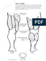 The Heroic Limb: Adductors B