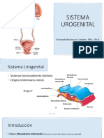 C16 - Sistema Urogenital