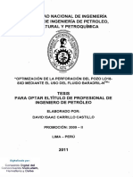 carrillo_cd.pdf