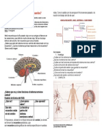 FICHA DE CIENCIA 17 de Agosto