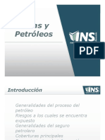 Minas y Petroleo PDF