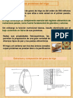 Proteinas de trigo.pdf