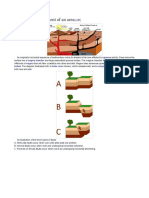 Geological Development of An Area