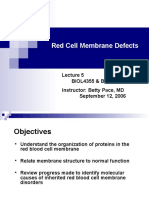 Lecture 5 Red Cell Defects Final