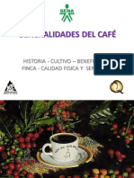 Basico Cata Cafe