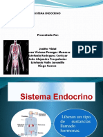 Sistema Endocrino