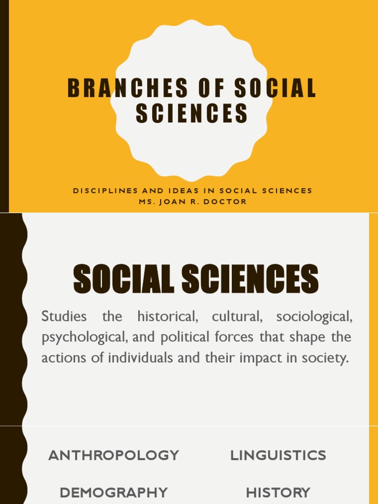 Overview of Social Science Disciplines | PDF | Anthropology | Social ...
