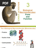 Biological Macromolecules:: Form and Function