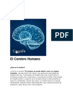 CEREBRO 5.docx