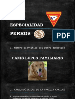Especialidad de Perros PDF
