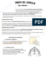 Clase 9 PDF