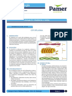 Biologia - 4 - Citologia II Citoplasma y Nucelo PDF
