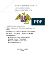 FALTA POQUITO - LABORATORIO 1.docx