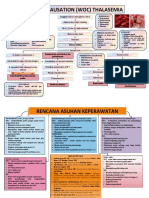 Woc Thalasemia