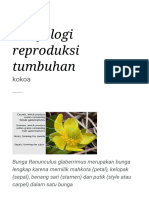 Morfologi Reproduksi Tumbuhan - Wikipedia Bahasa I