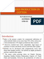 HYBRID SEED PRODUCTION IN COTTON.pptx