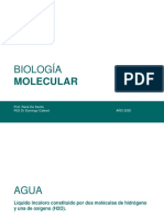BIOLOGIA_MOLECULAR.pdf
