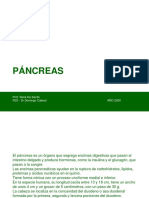 PANCREAS