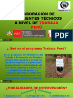 Elaboración de Expedientes Técnicos A Nivel De: Trabaja Perú