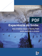 Experiencia-do-limite.pdf