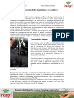 10. Manejo de enfermedades de plántulas en semilleros.pdf