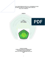 Beras Hitam Antioksidan PDF