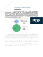 Tema 2 Estructuras y Función de La Célula Procariota