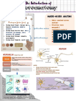 Catatan Introduction To Neuroanatomy