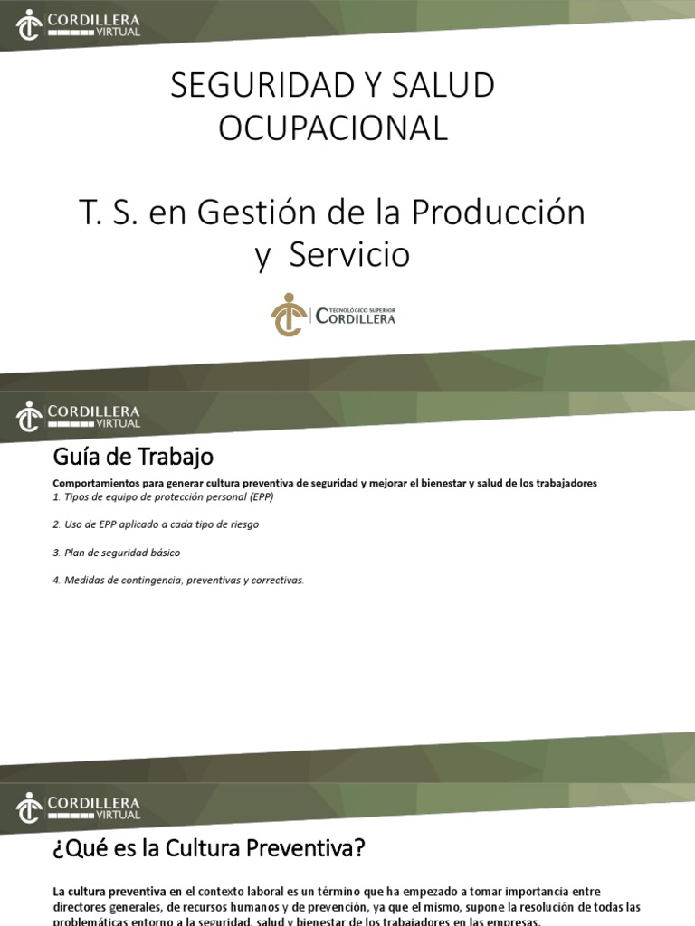 Cultura Preventiva en Empresas | PDF | Liderazgo | Gestión de recursos ...