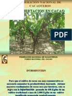 Capacitacion Injertación en Cacao de 2018