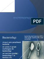 8 Bacteriofag