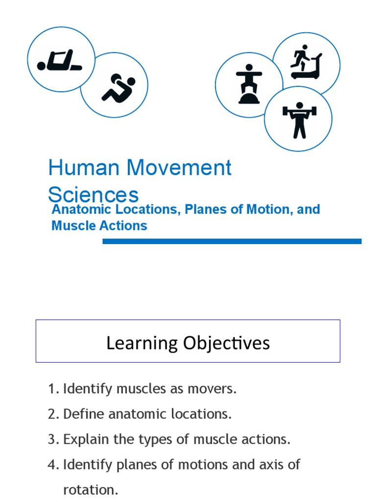 Human Movement Science PDF Anatomical Terms Of Location