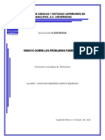 Ensayo Sobre Los Problemas Puberales