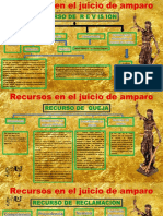 Recursos de Amparo PDF