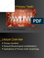 Anatomy of Primary Teeth: Dr. Asad Rafique Memon